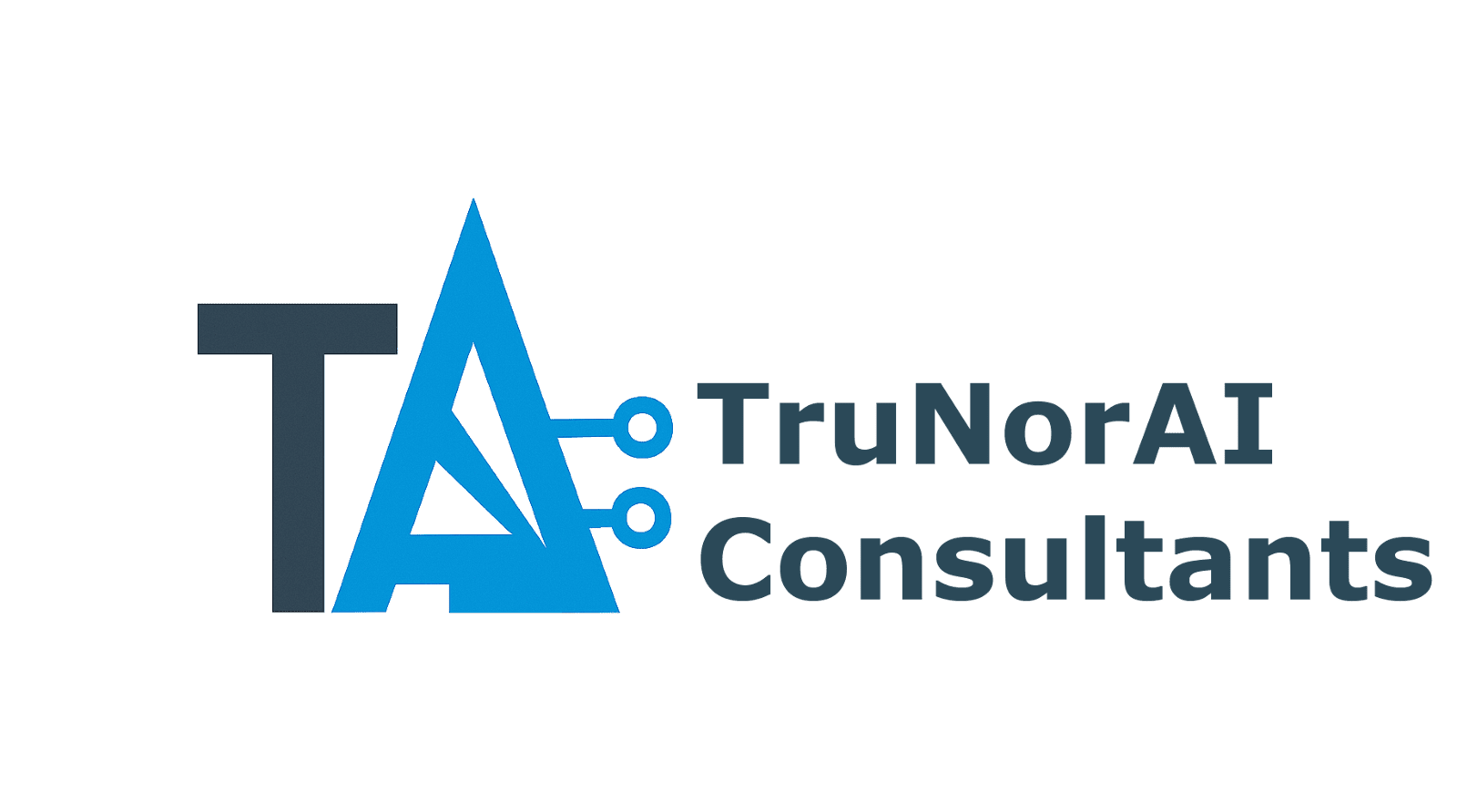 TruNorAI Consultants